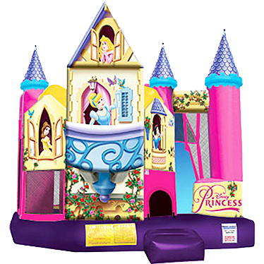 Disney Princess Bouncer