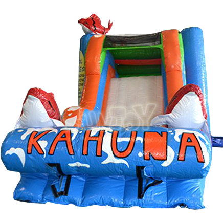 Kahuna Bouncer