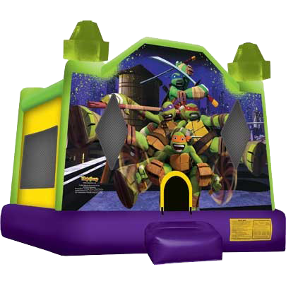Ninja Turtle Bouncer